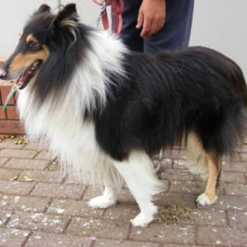 Mick  *****On Hold*****