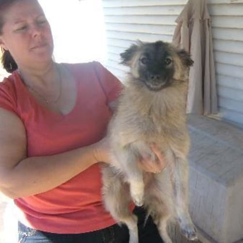 No photo for Rainey Re Home