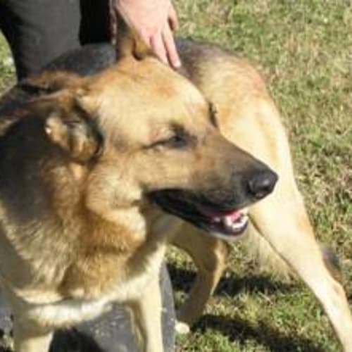 No photo for Walker (On Trial)