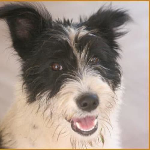 No photo for Winifred (Winnie)