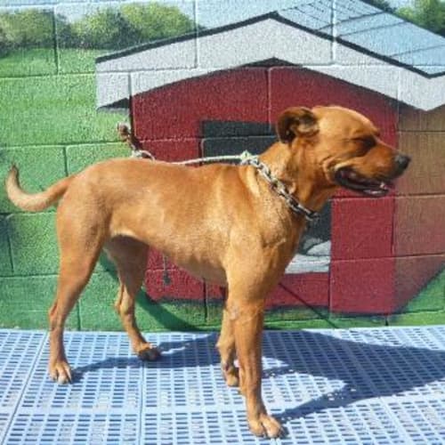 No photo for Imp # K52949