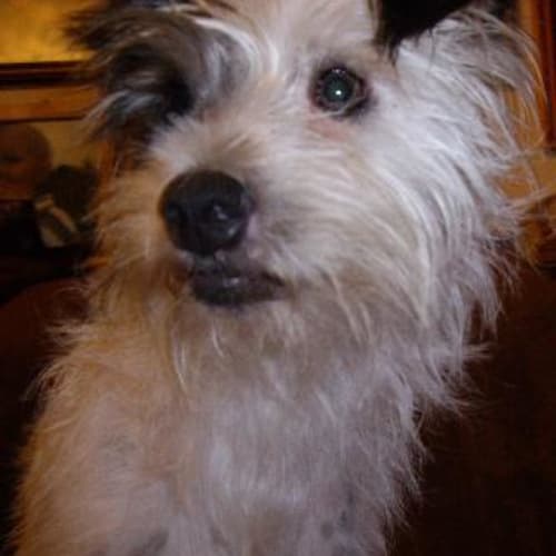 No photo for Ashleigh