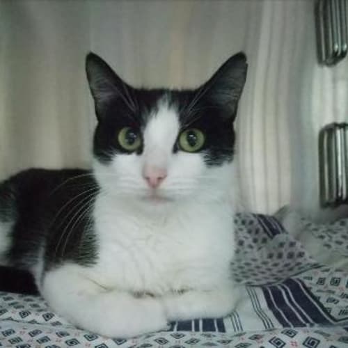 No photo for Jasmine   C5860