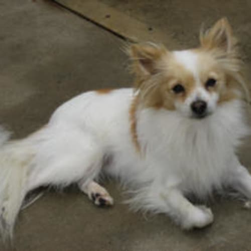 Obe Is Trying A New Home!