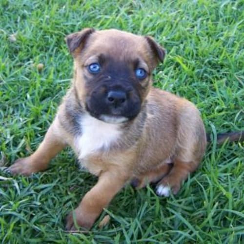 No photo for Victoria Adopted