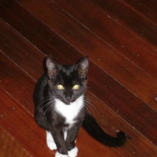 No photo for Minni
