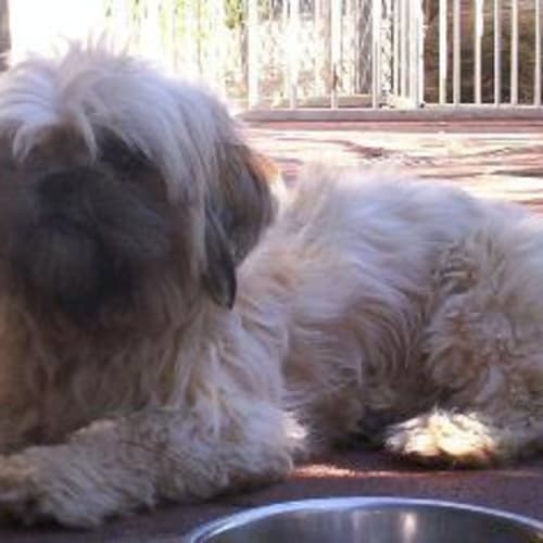 No photo for Archie On Trial