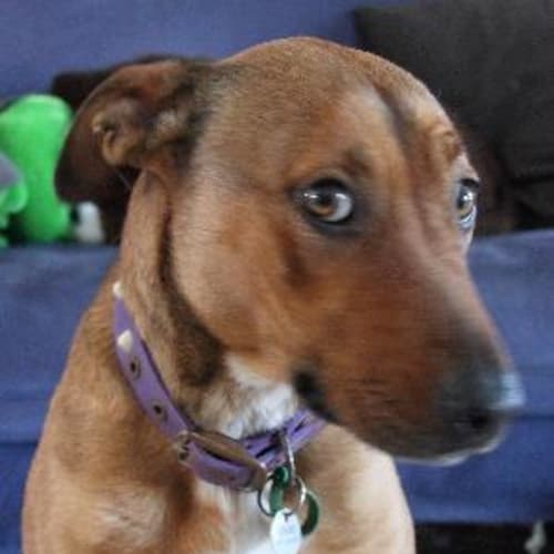 No photo for Jess On Trial