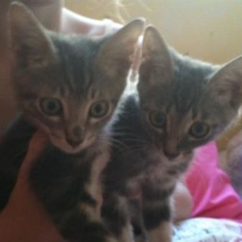 Billy and Lilly