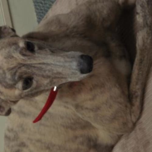 No photo for Sabrina