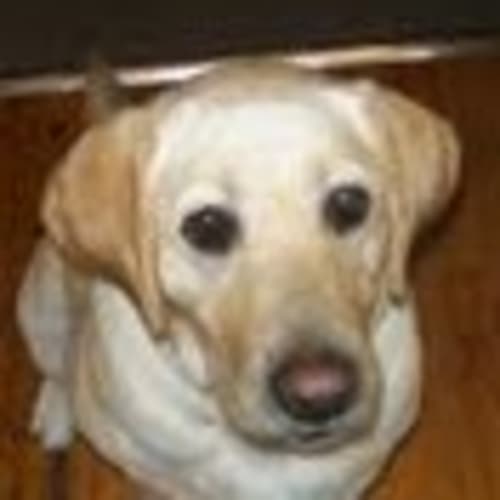 No photo for Chantelle (No More Enquiries Please)