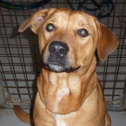 No photo for Fairbanks