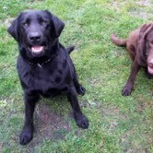 No photo for Choci And Spike (No More Enquiries Please)