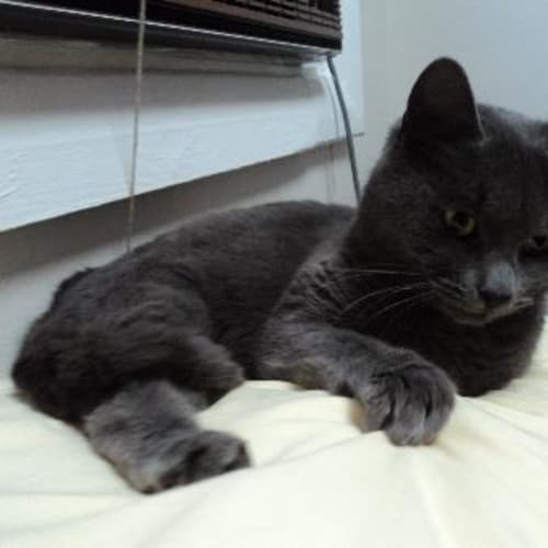 No photo for No Name Yet