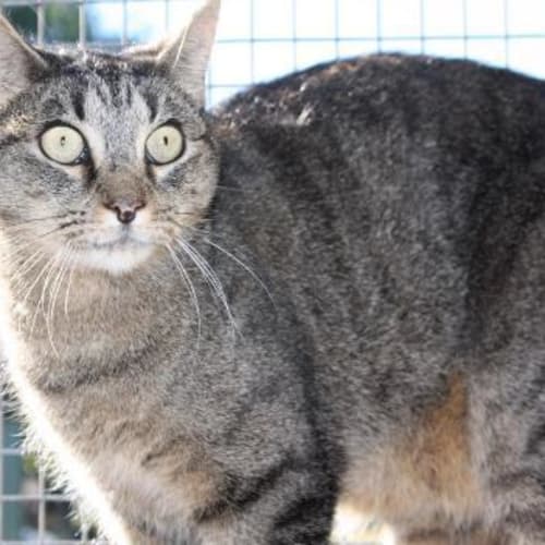 No photo for Charlie