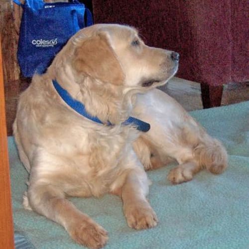 No photo for Winston