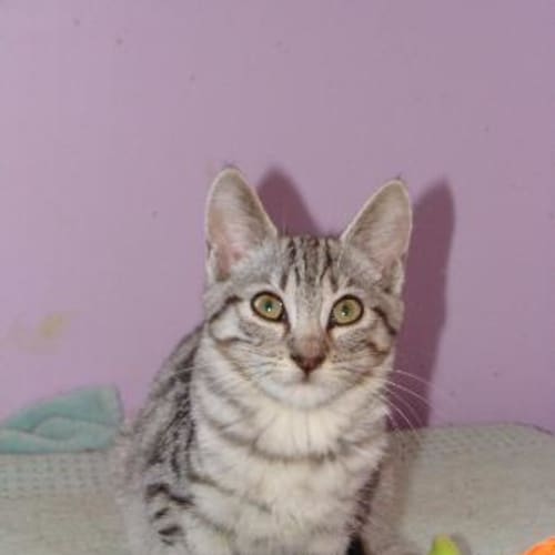 No photo for Isobel And Iggy