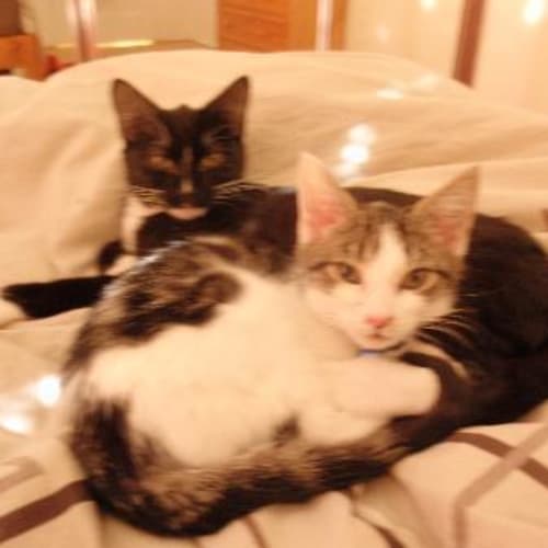 Maggie & Lenny