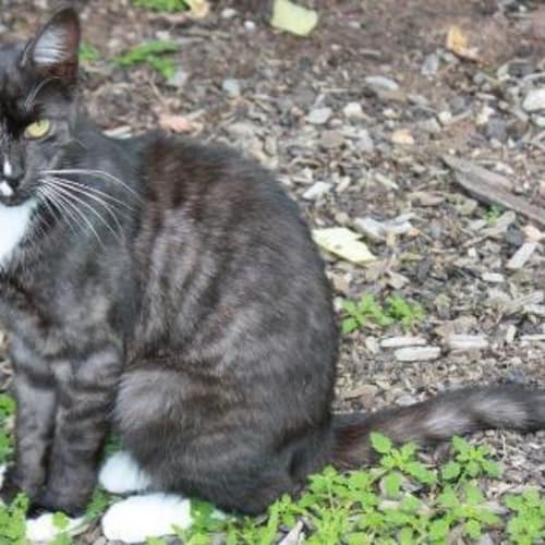 No photo for Minnie May