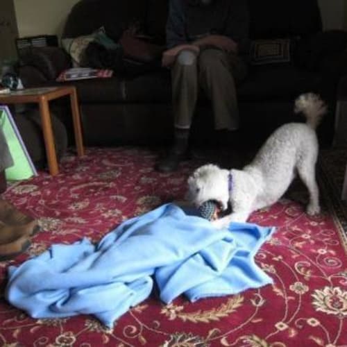 No photo for Moby (On Trial)