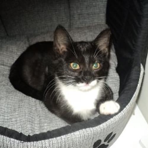 No photo for Kernal Popcorn