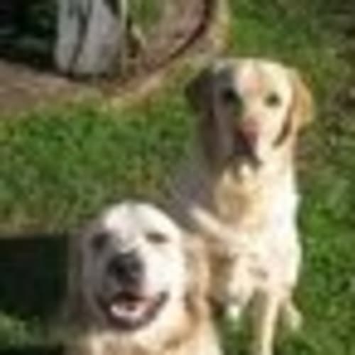 No photo for Charlie (No More Enquiries Please)