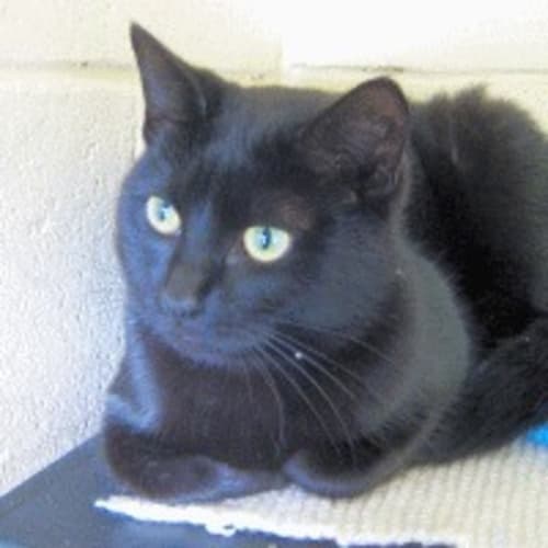 No photo for 685656.0