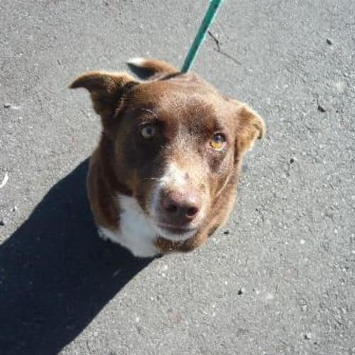 No photo for Imp # K51287