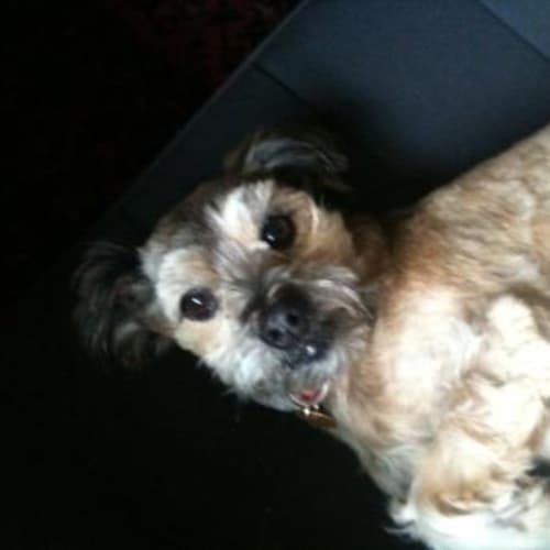 No photo for India Elizabeth