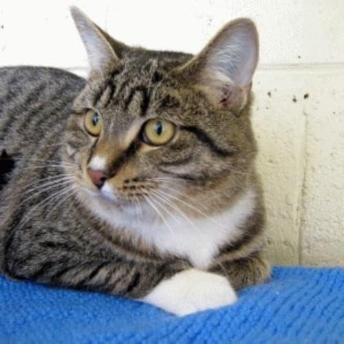 No photo for Soxy 673613