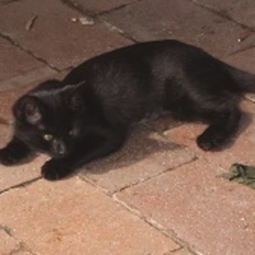 No photo for Winsome