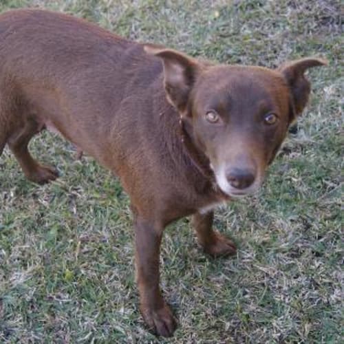 No photo for Sara On Trila