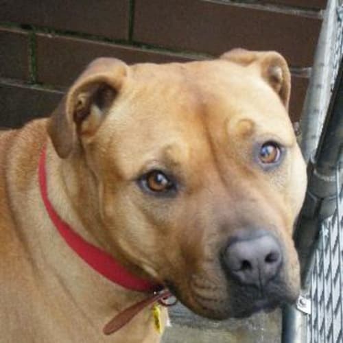 No photo for Mary Jane