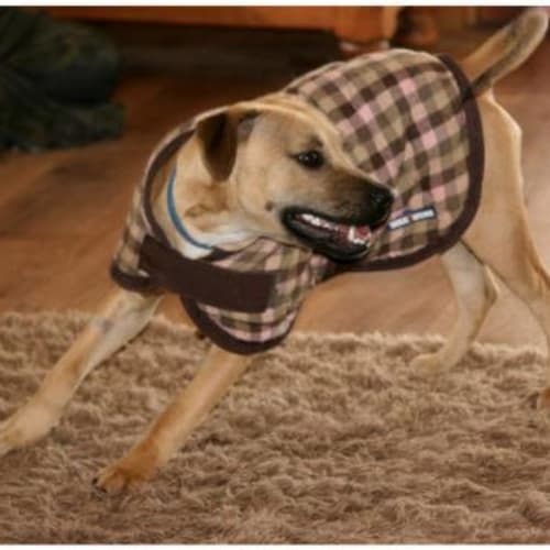 No photo for Rodney   On Trial