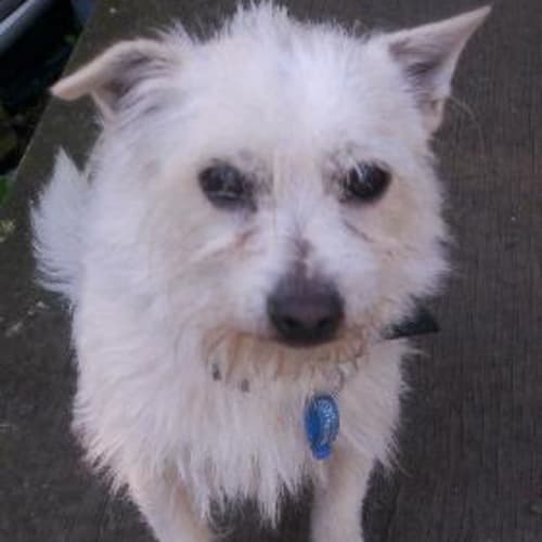 No photo for Shawn On Hold