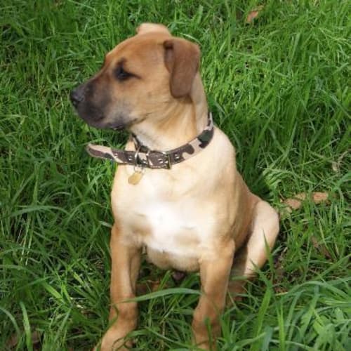 No photo for Kahn On Trial