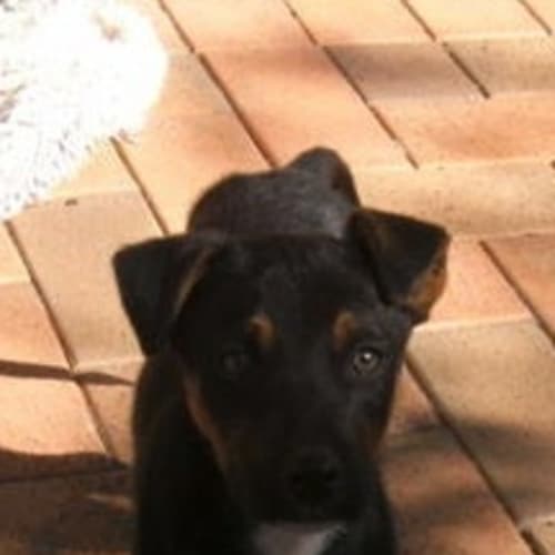 No photo for Jake On Trial