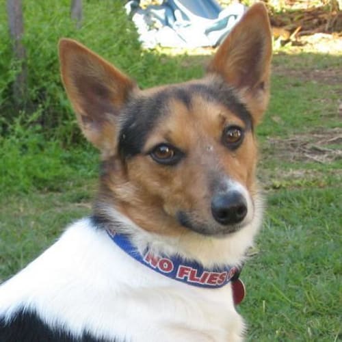 No photo for Cherokee