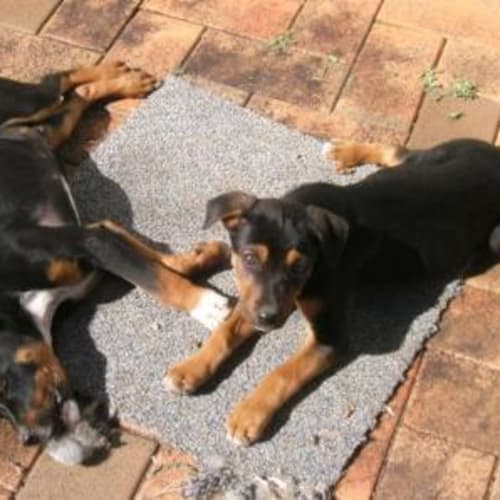 No photo for Tyson Deposit Taken