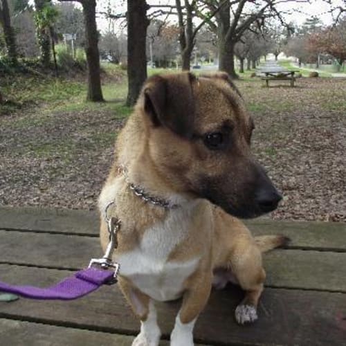 No photo for Lachlan