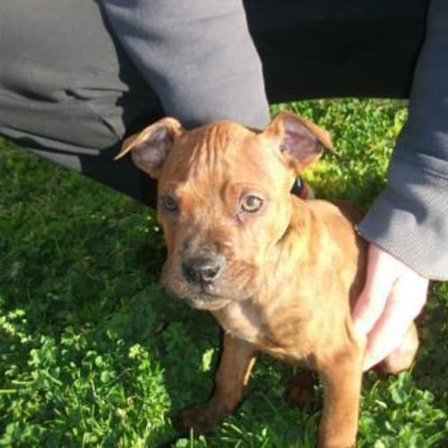 No photo for Grahame