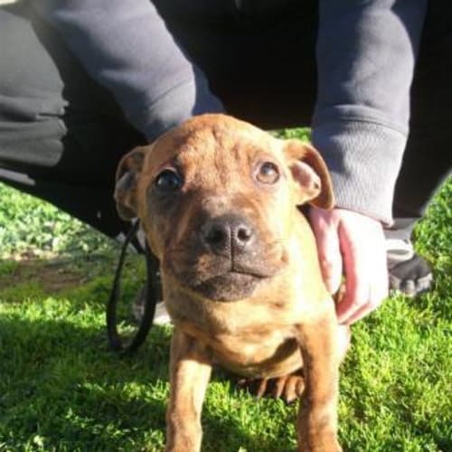 No photo for Rainbow