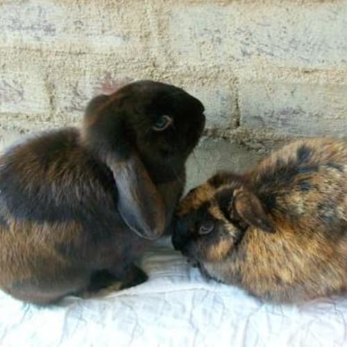 No photo for Zack And Kelly