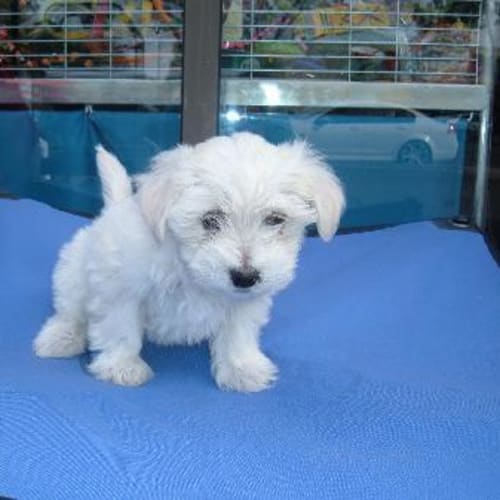 No photo for Sara  On Hold