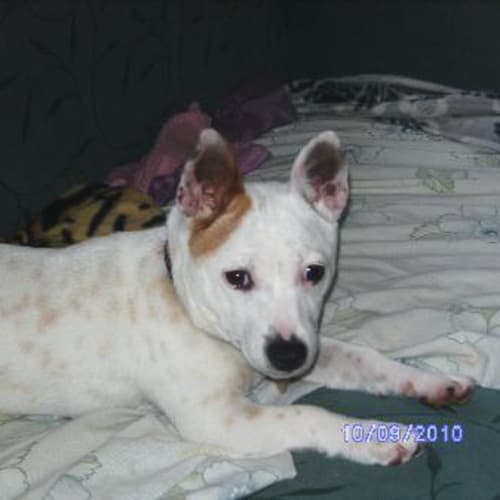 No photo for Jackie On Trial