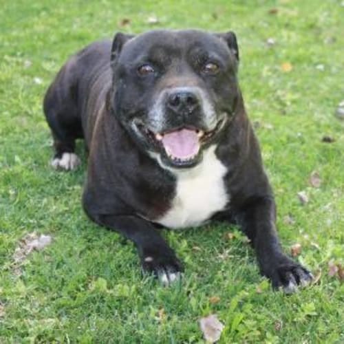 No photo for Guiness