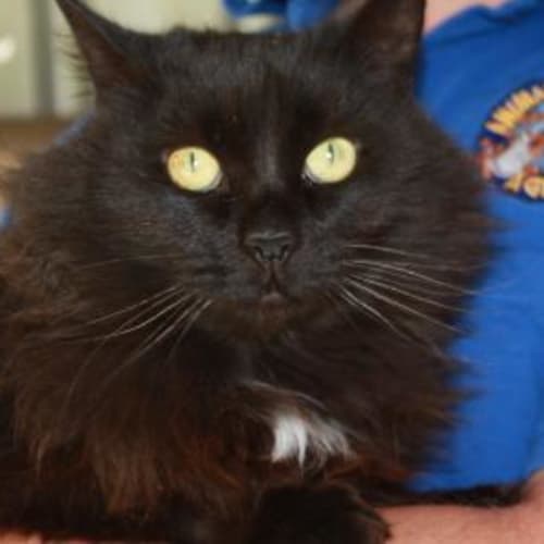 No photo for Wednesday