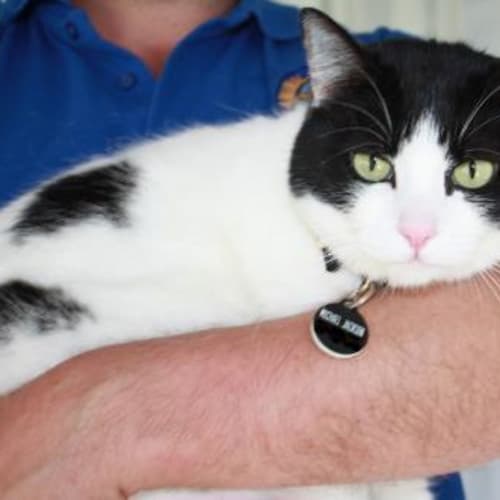 No photo for Michael Jackson