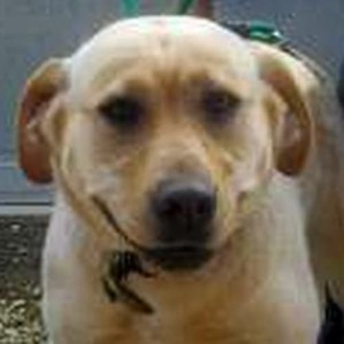 No photo for Billie 442062