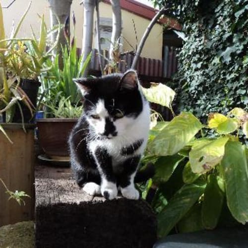 No photo for Sparkle